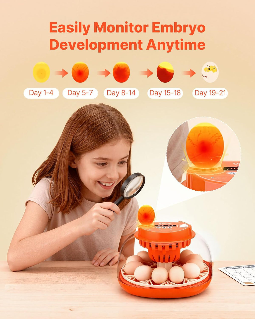 12 Egg Incubator, Automatic Egg Turner with LED Candler, Temperature & Humidity Control, 360° View Clear Window