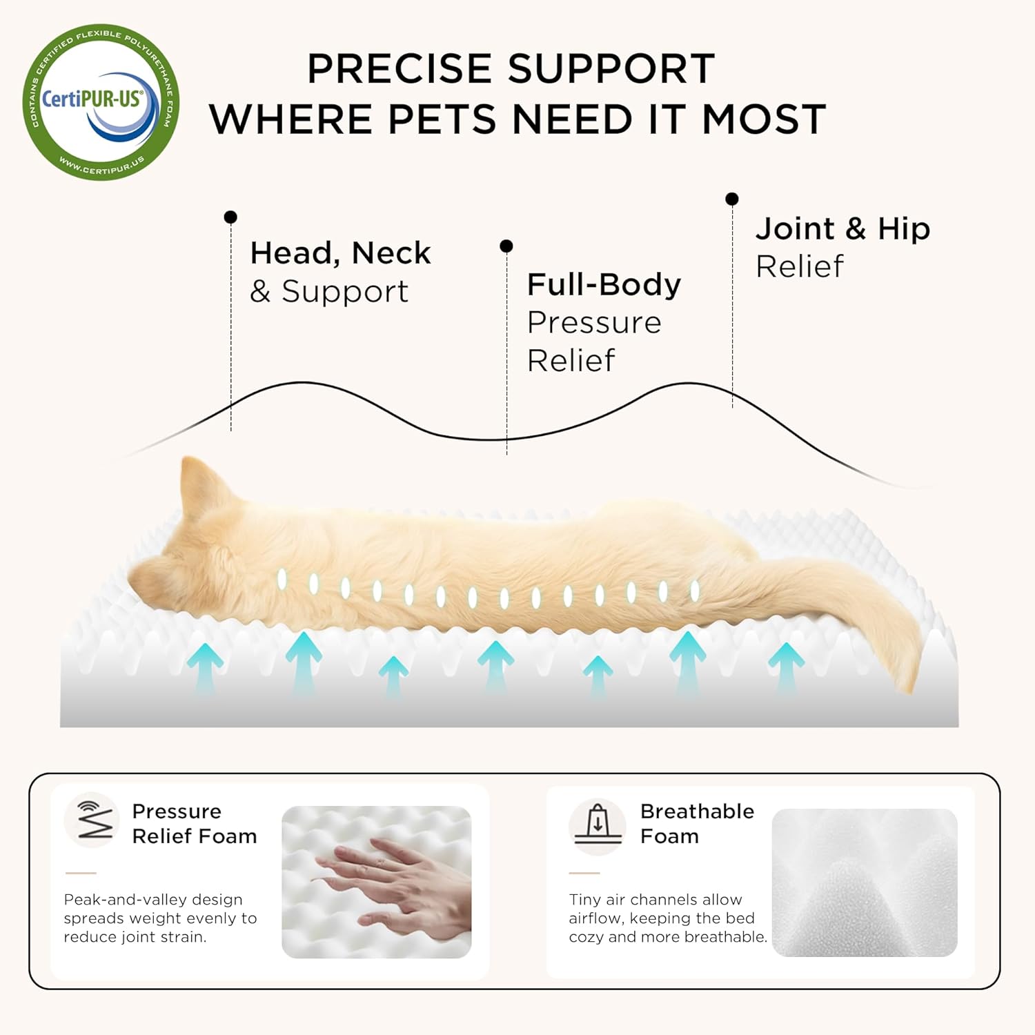 Dog Beds Large Sized Dog - Comfy Flat Pet Beds with Removable Washable Cover, Orthopedic Egg Crate Foam Puppy Mat