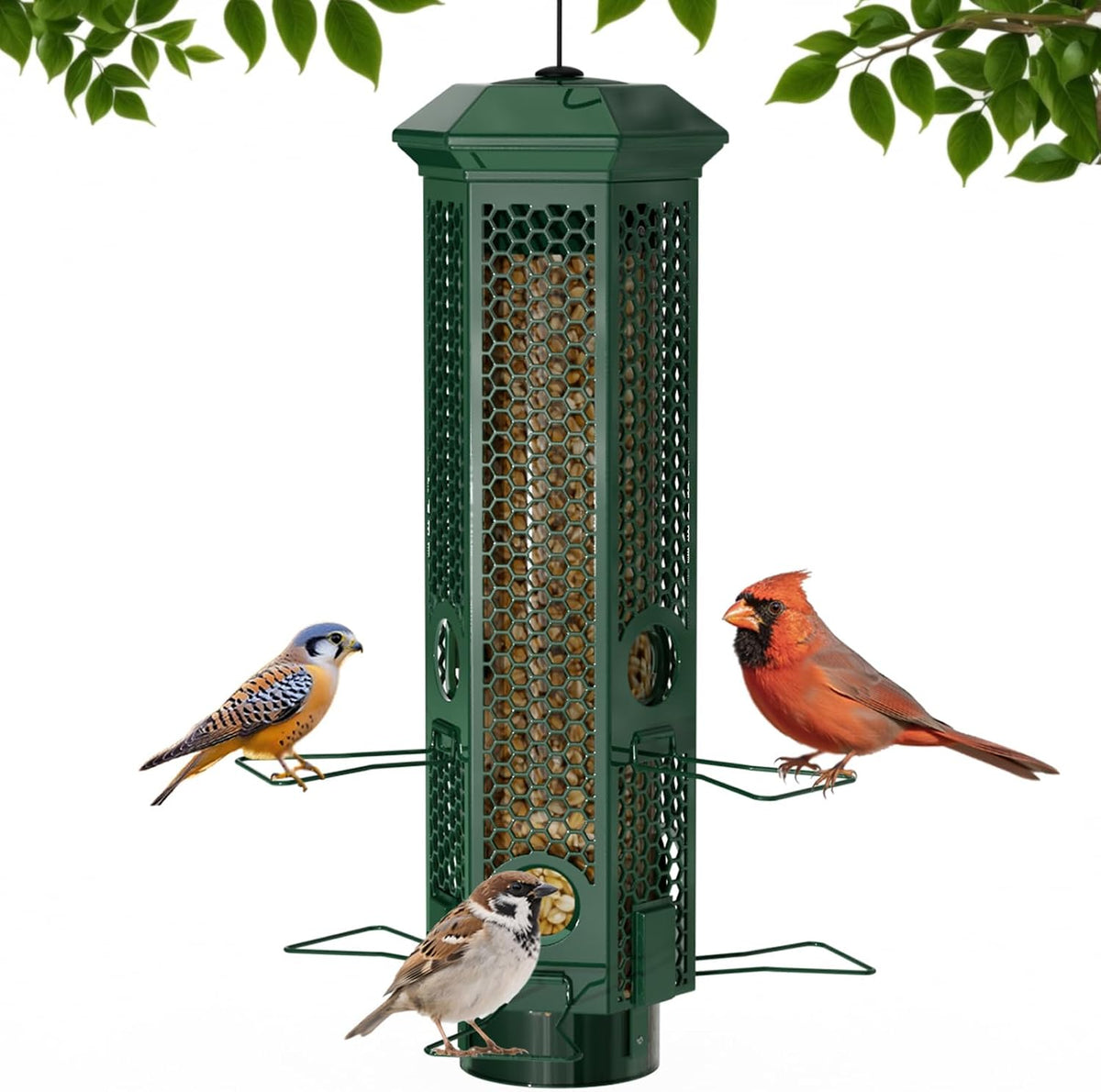 Squirrel Proof Bird Feeders, Bird Feeder for Outdoors with Removable Base, 6 Ports Perches Gravity Protection
