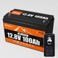 12V 100Ah LiFePO4 Lithium Battery with Bluetooth,15000+ Cycles Lithium Battery for Trolling Motor, Off-Grid,Boat,RV