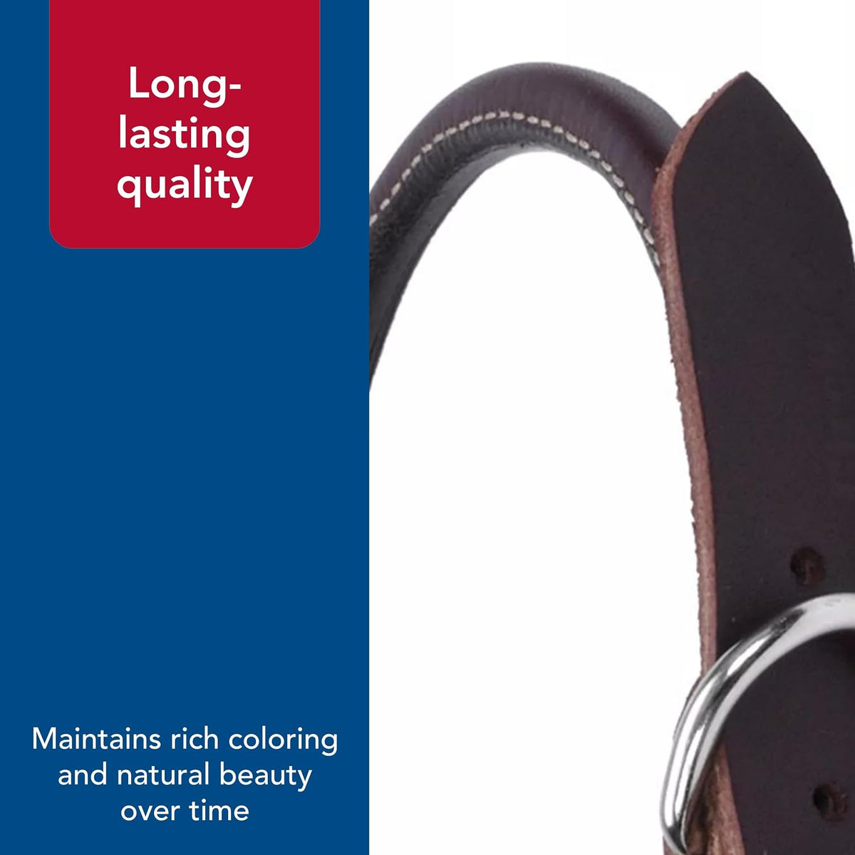 Pet Leather Dog Collar, Coastal Pet Circle T Latigo, 3/8" x 18"