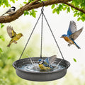 Hanging Bird Bath Bowl - Window Bird Water Feeder Tray for Outdoors