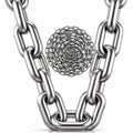 ElaraBerry 1/4 Inch x 25 ft 304 Stainless Steel Welded Link Chain