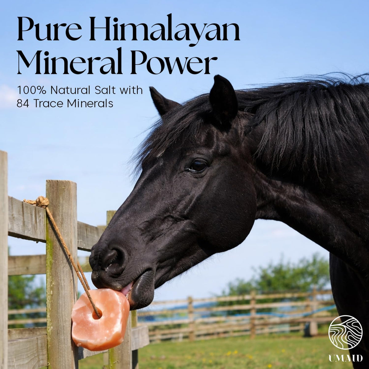Himalayan Salt Lick 3 lbs On Rope for Horse, Deer, Goat, and Livestock Animals - Himalayan Salt Block 6 Pack