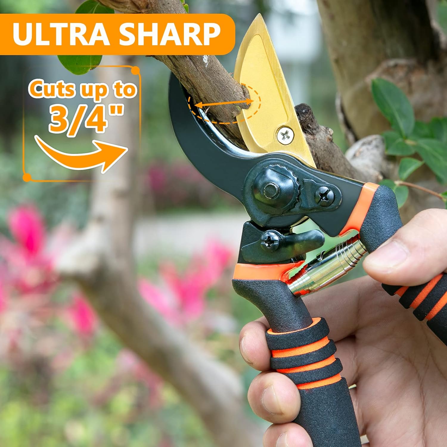 Pruning Shears, Garden Shears - Hewog 8.5" Professional Premium SK5 Steel with Titanium Bypass Pruning Shears for