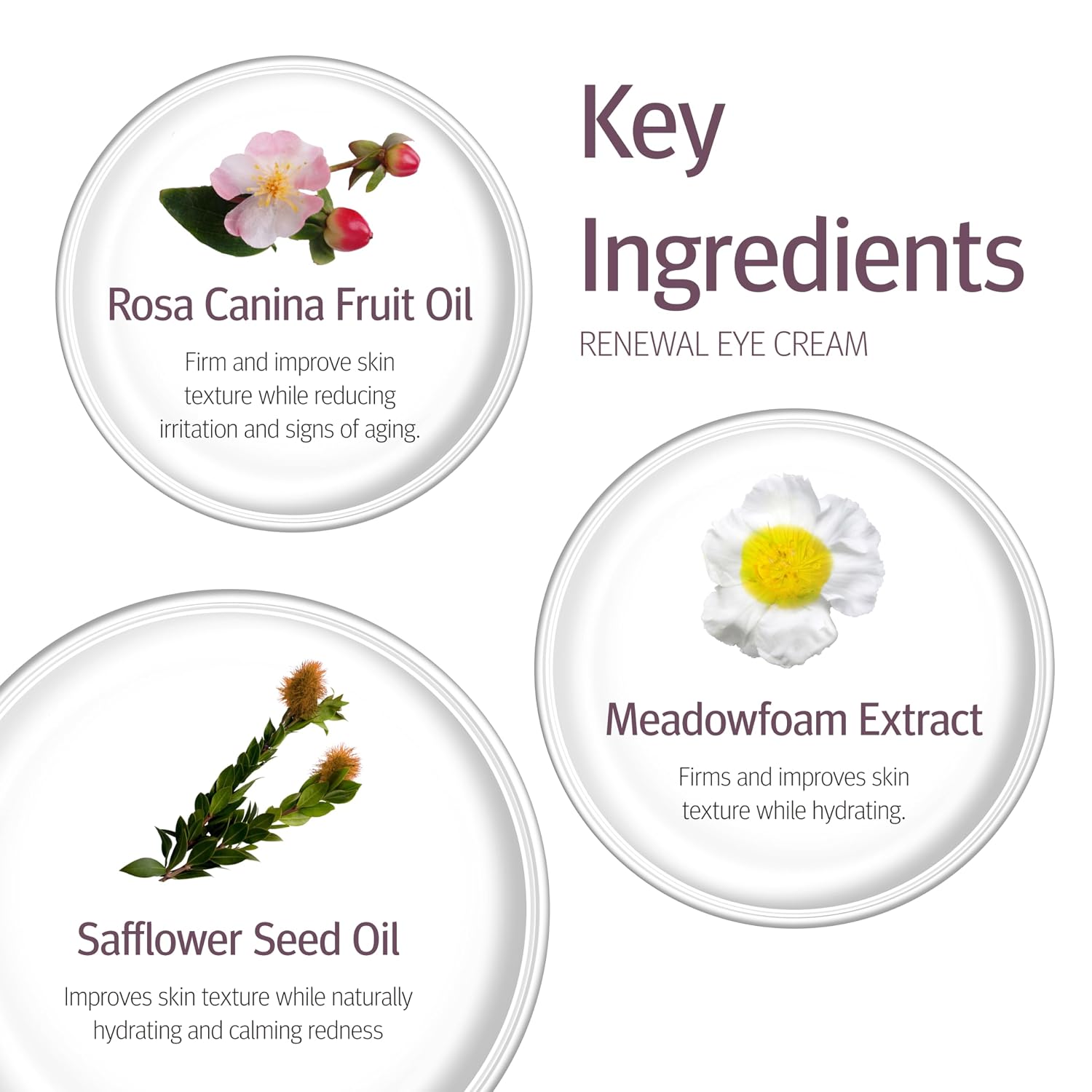 Renewal Eye Cream Anti-Aging Under Eye Cream Dark Circles Puffiness