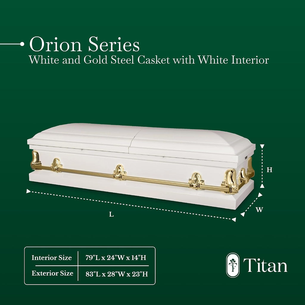 Elegant Orion Series Funeral Casket for Humans - Handcrafted Steel Casket, Luxurious White and Gold Finish & White