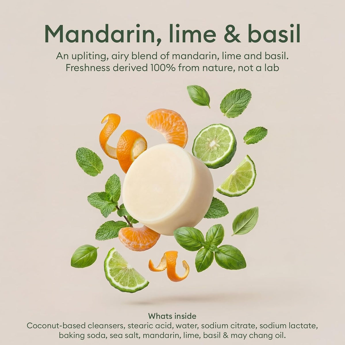 Solid Dish Soap Bar, Coastal Citrus Mint, Plant-Based, 1 Bar