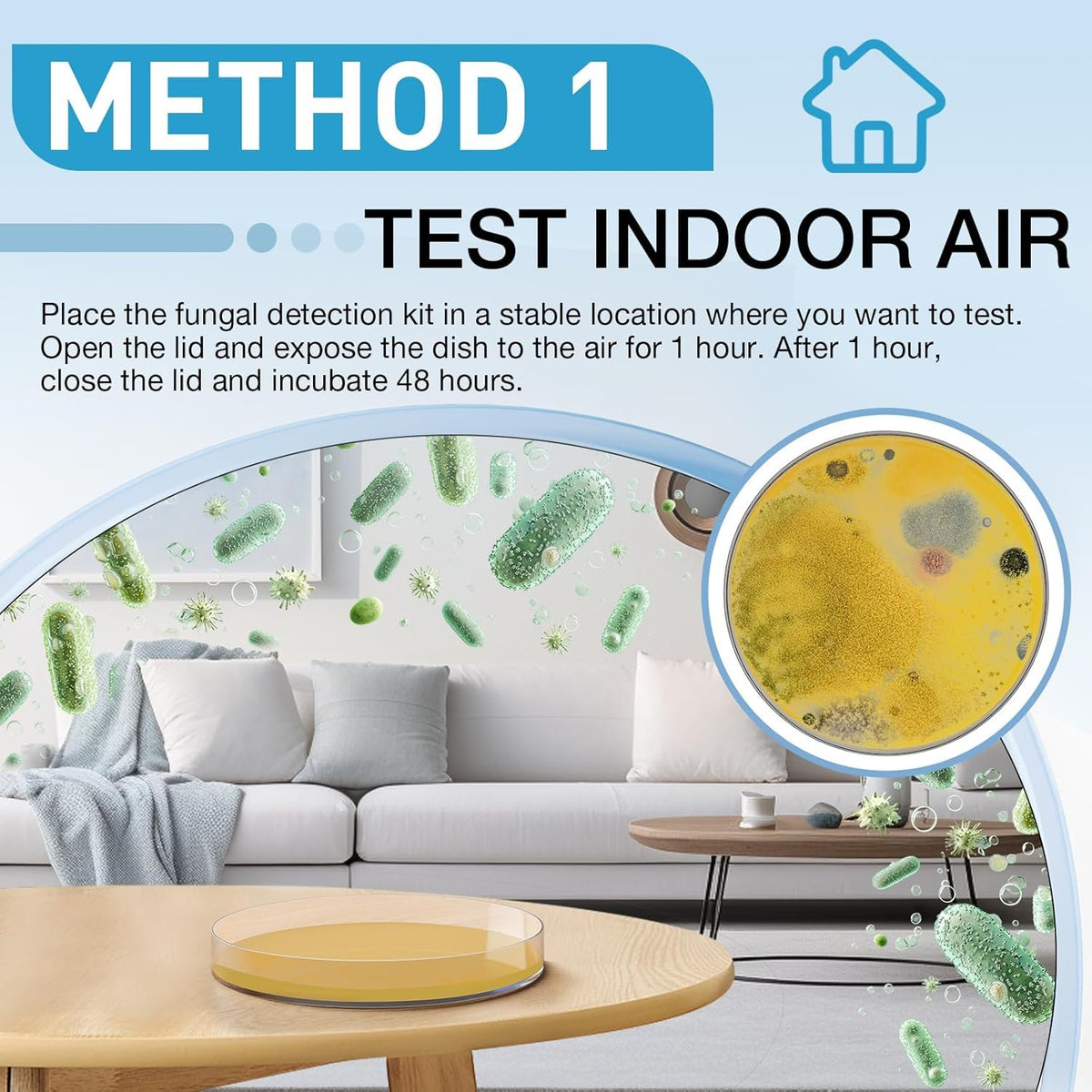 Mold Test Kit for Home - 8 Simple Detection Tests for Surface Mold, HVAC System & Indoor Air Quality - DIY Black Mold