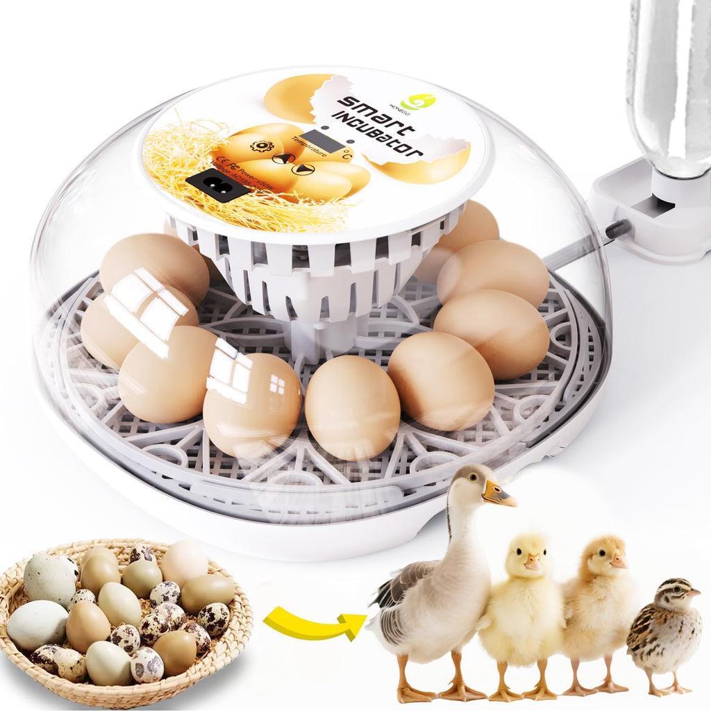 Egg Incubators for Hatching Eggs Chicken Eggs Incubator for Hatching Eggs Incubator with Automatic Egg Turner and