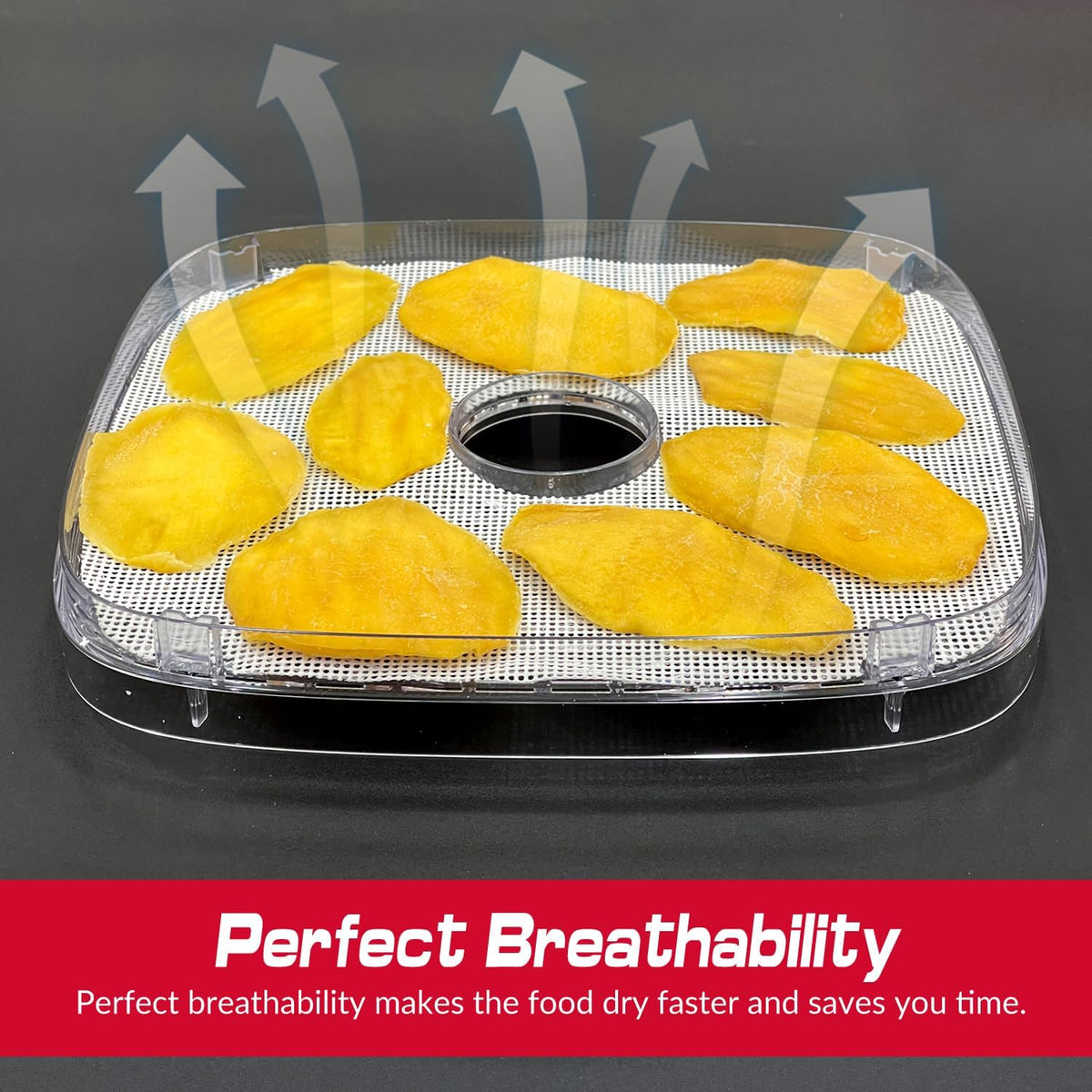 Silicone Dehydrator Sheets for OSTBA Food Dehydrator, Non-Stick BPA Free, Pack of 5 (Premium Reusable Food Dehydrator