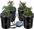 DWC Hydroponics Grow System with Top Drip Kit 4 Buckets | 5-Gallon Deep Water Culture, Recirculating Drip Garden