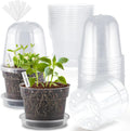 6 Inch Clear Nursery Pots with Humidity Domes 15 Pack, Transparent Plastic Plant Pot with Drainage Holes and Saucers