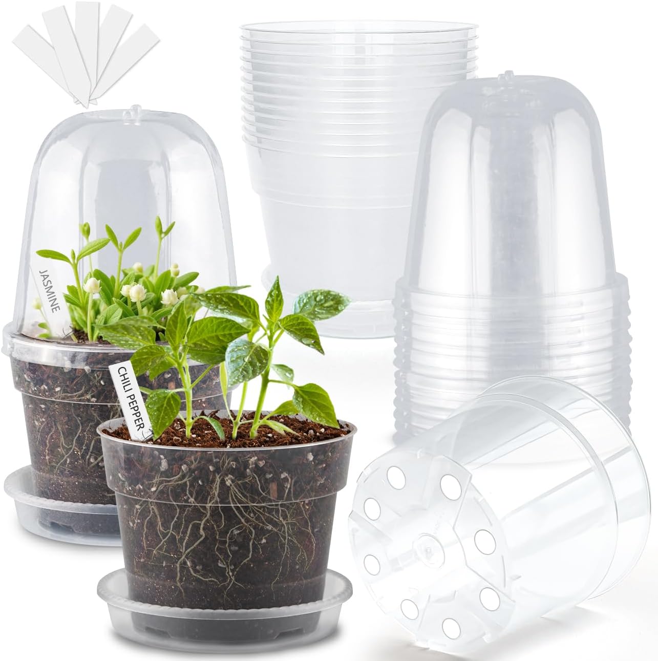 6 Inch Clear Nursery Pots with Humidity Domes 15 Pack, Transparent Plastic Plant Pot with Drainage Holes and Saucers