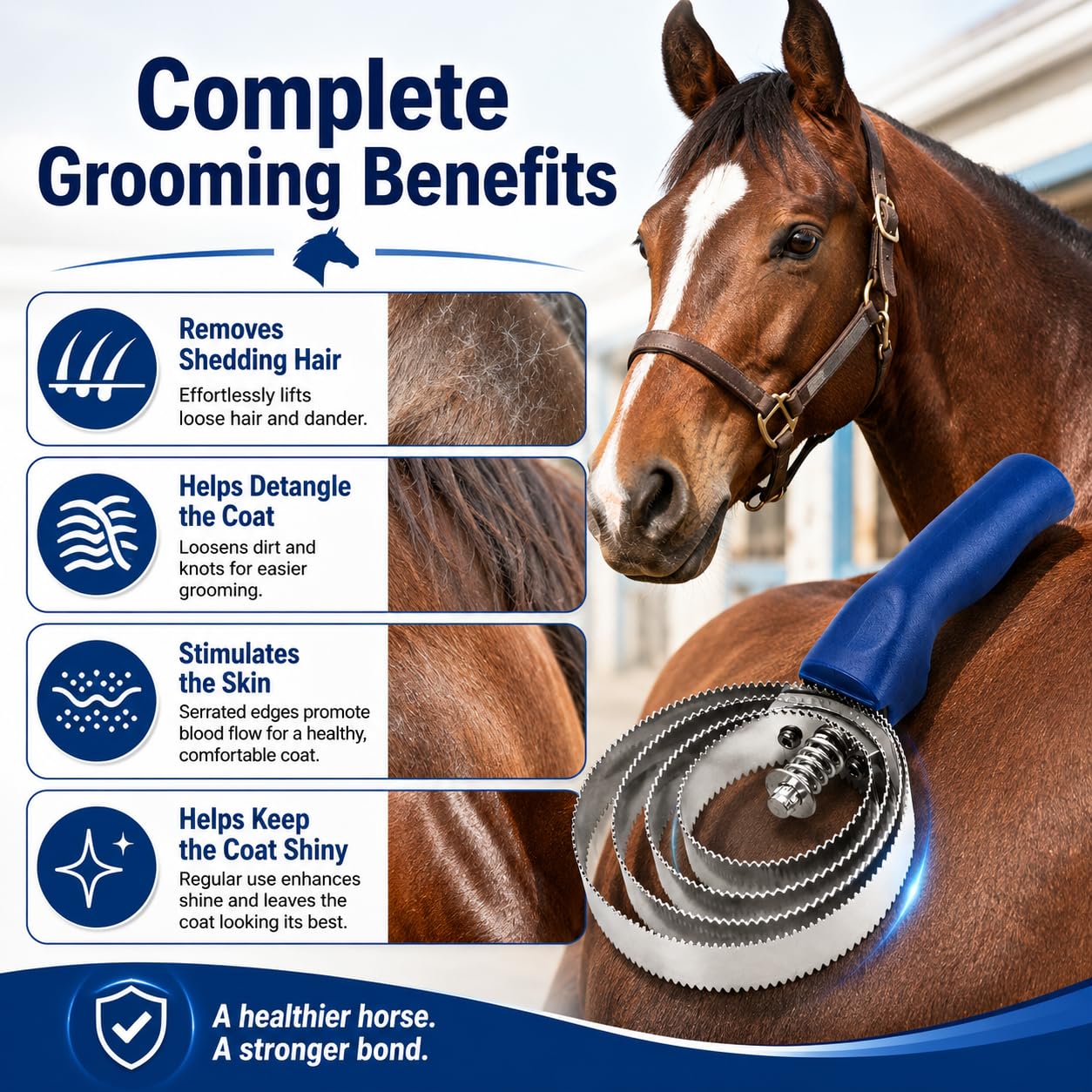 2-Pack Reversible Curry Combs for Horses and Pets, Stainless Steel