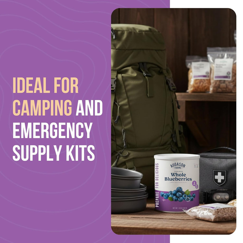 Freeze-Dried Whole Blueberries Can | Emergency Food Supply, 26 Servings, 30 Year Shelf Life, Great for Cooking