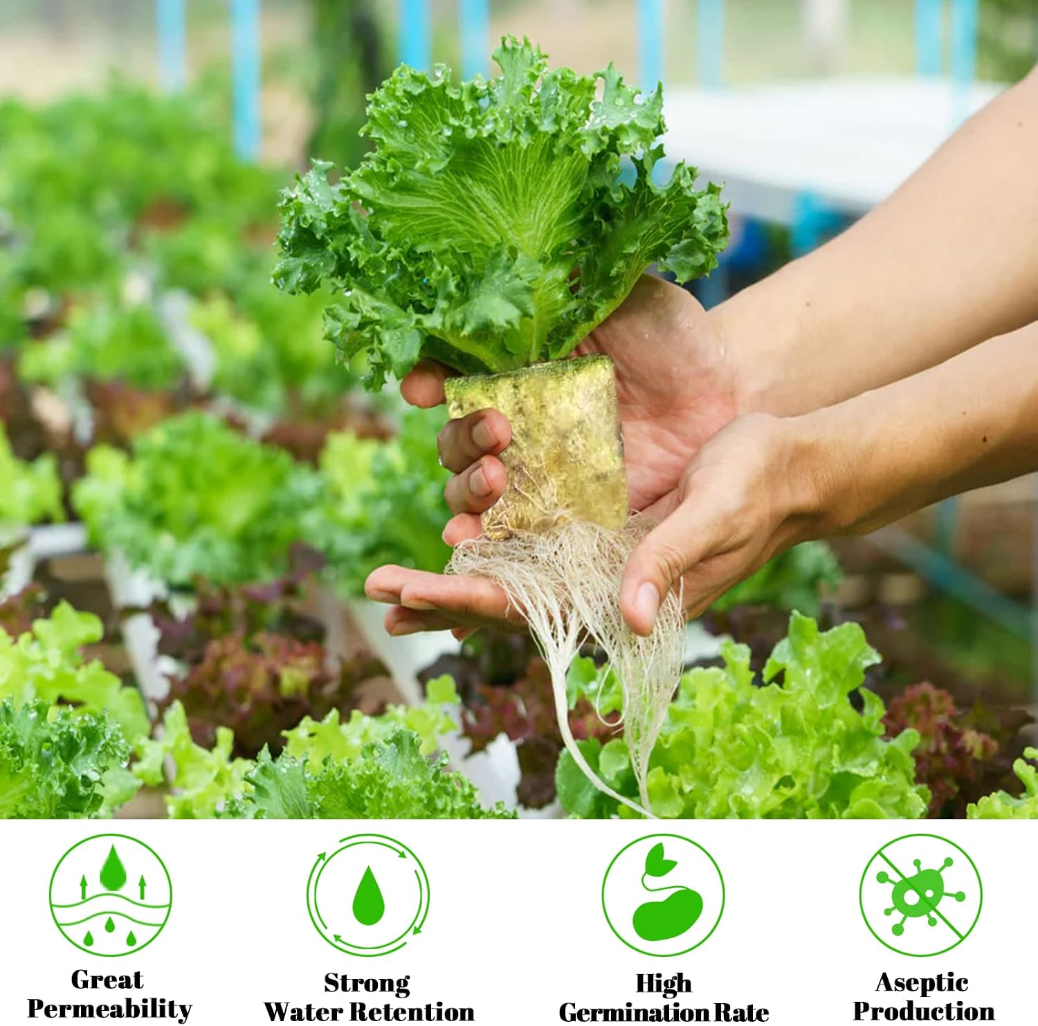 1 Inch Rockwool Cubes Seed Starter Plugs for Hydroponics, 100 Plugs | Promotes Germination Rate & Root Growth
