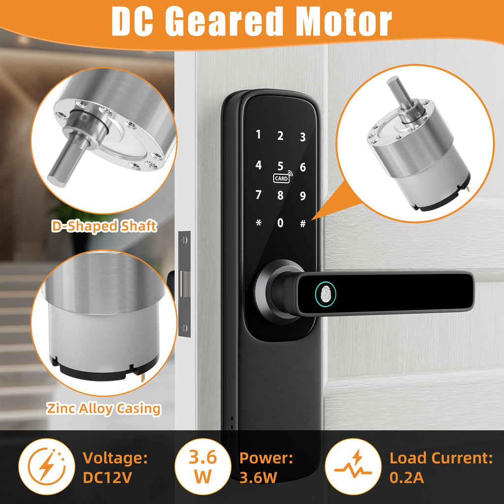 Copkim 12V DC Geared Motor Kit, 600rpm