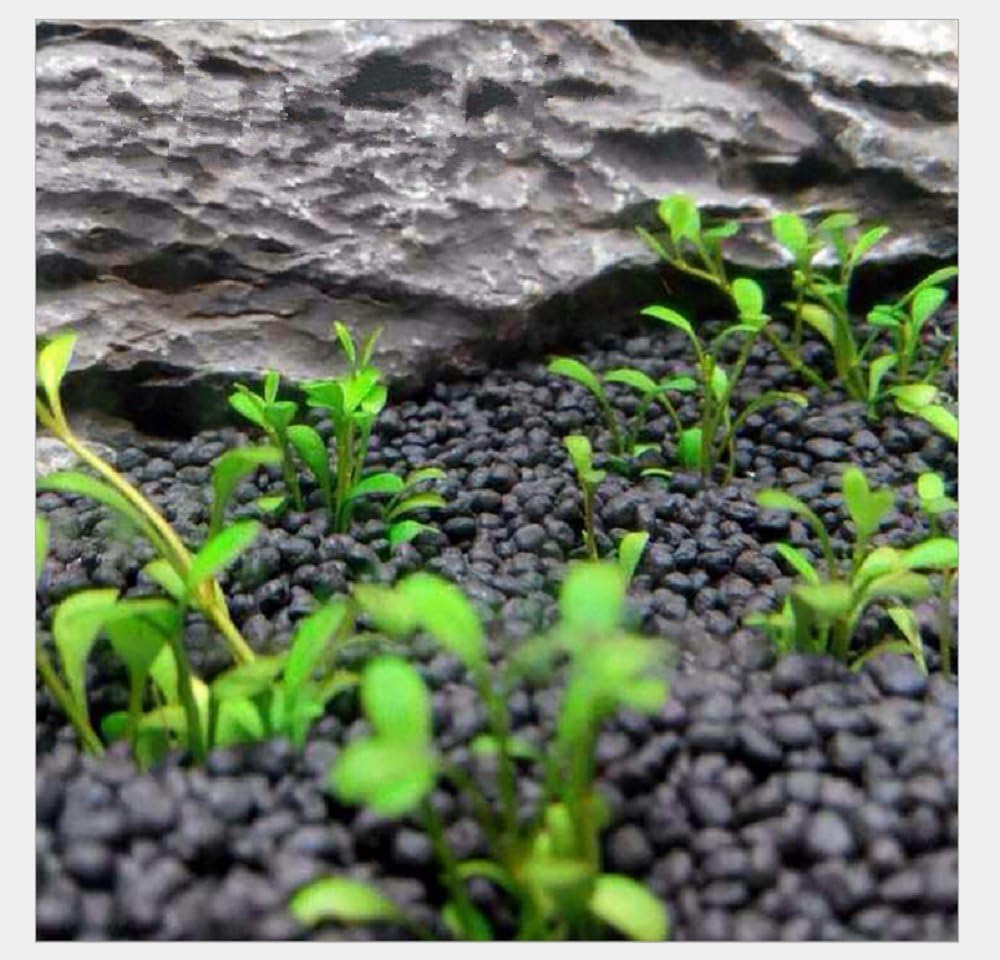 2 LB to Complete Freshwater Planted Aquarium Substrate | Aquatic plant cultivation medium