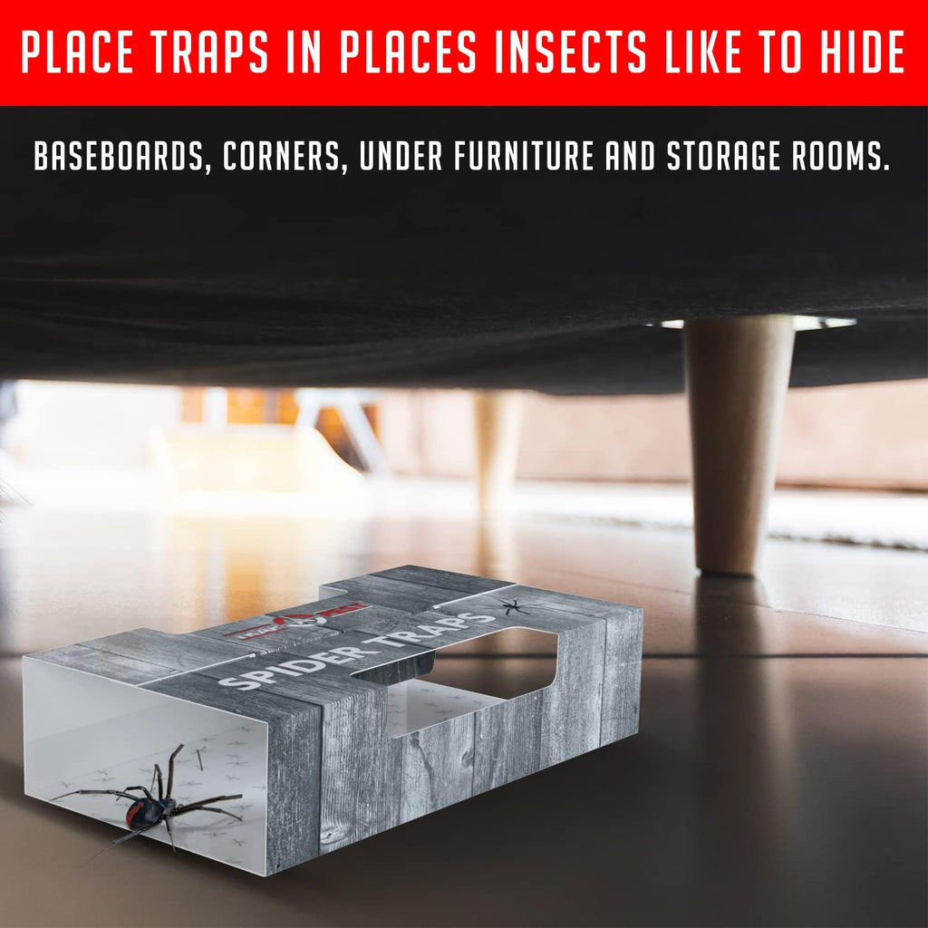 Trap a Pest Indoor Sticky Spider Traps - Glue Traps - 16 Pack