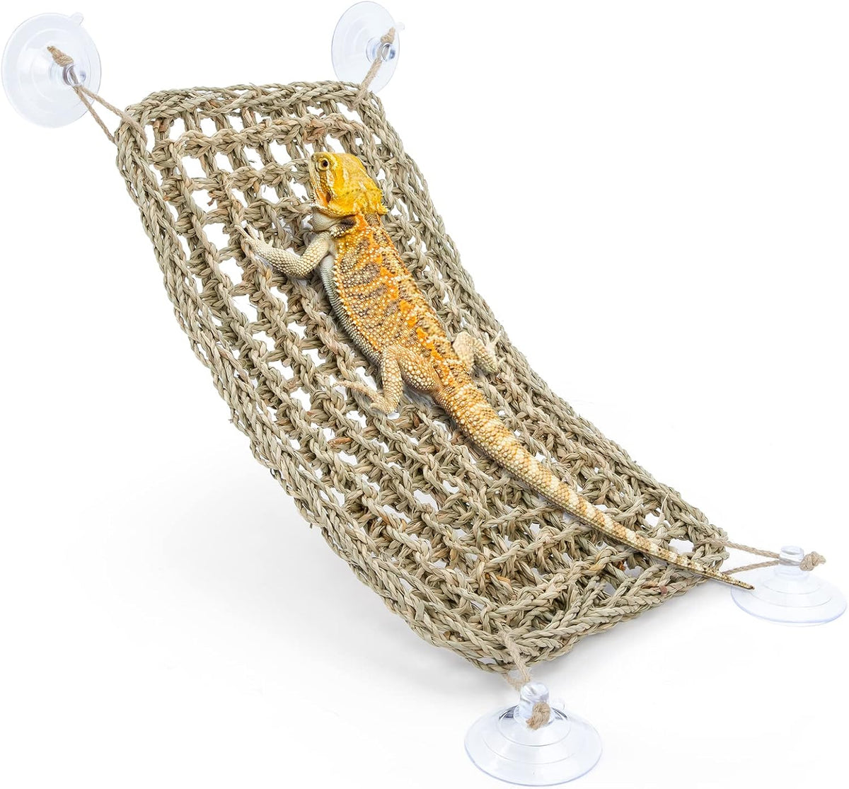 Bearded Dragon Seagrass Hammock: Rectangle 16"x 8" & Suction Cups