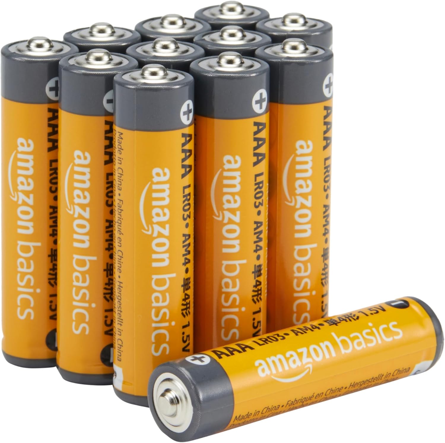 AAA Long-Lasting Alkaline Batteries, 12 Count, 1.5 Volt, 10-Year Shelf Life