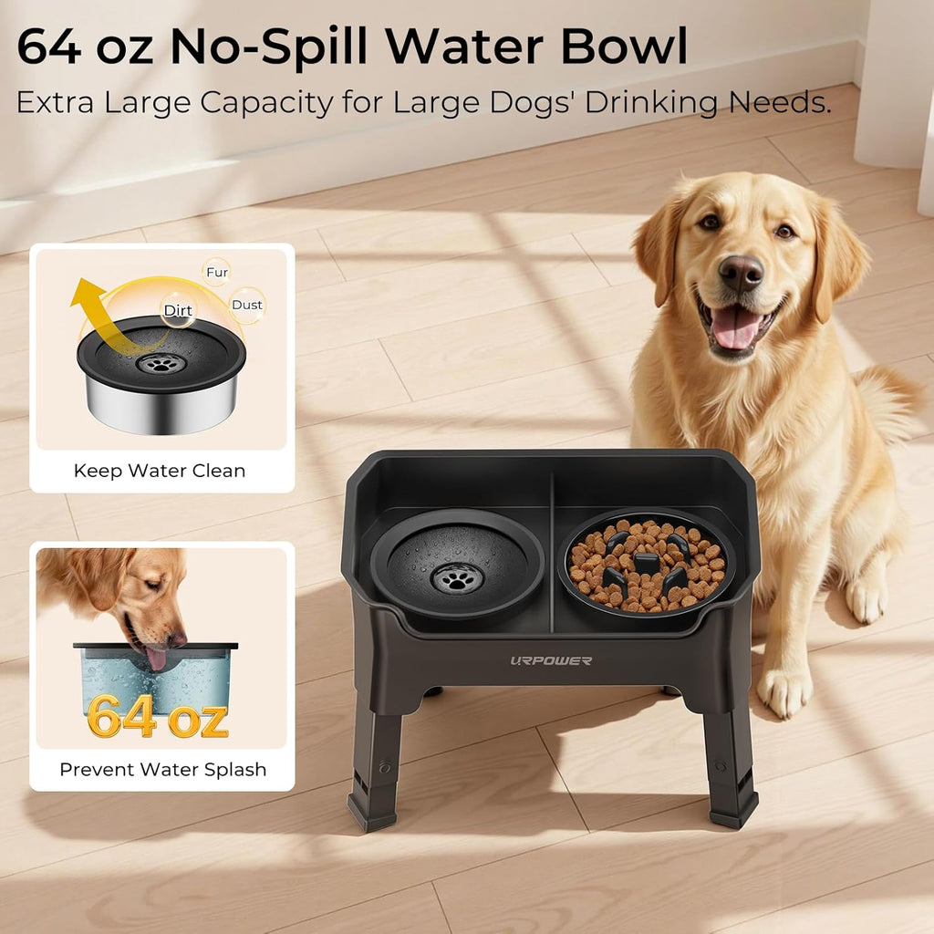 Mess Proof Elevated Dog Bowls 4 Height Adjustable Raised Stand with No Spill Water Bowl and Slow Feeder Dog Bowls