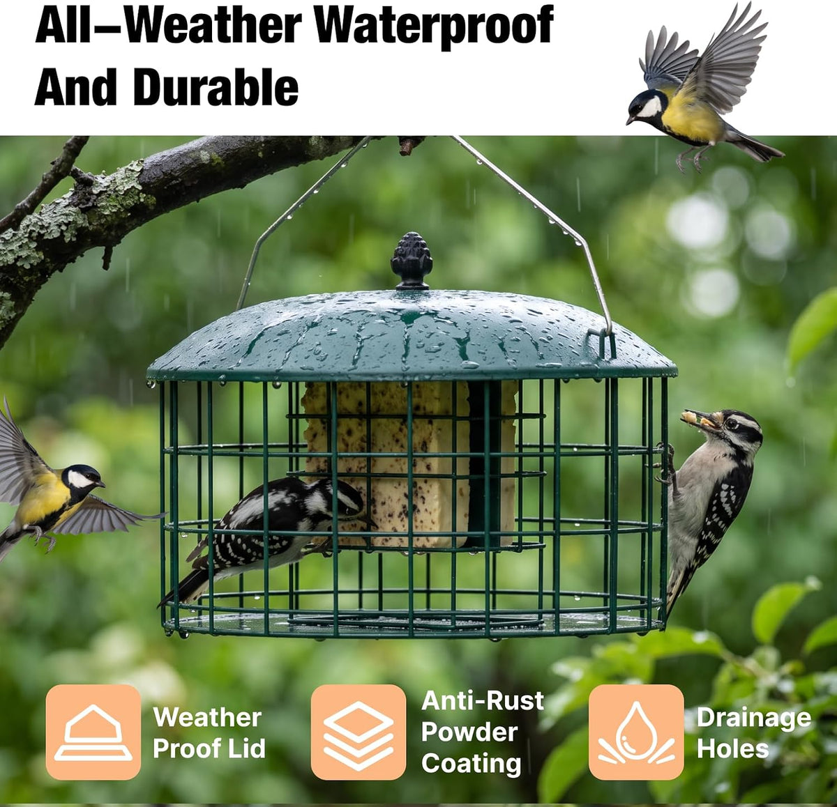 Squirrel Proof Suet Feeder for Woodpeckers, All Metal Caged Feeders