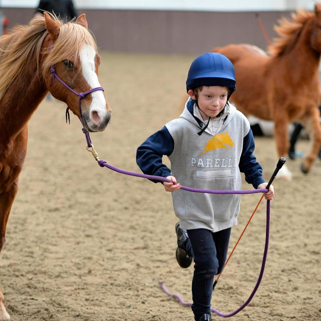 Mini Carrot Stick HR0520 | 3-Foot Junior Horse Training Stick with Fiberglass Shaft, Molded Handle & Leather Loop End