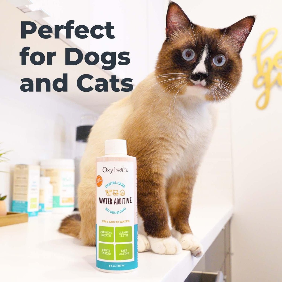 Premium Pet Dental Care Solution Pet Water Additive: Best Way to Eliminate Bad Dog Breath and Cat Bad Breath - Fights