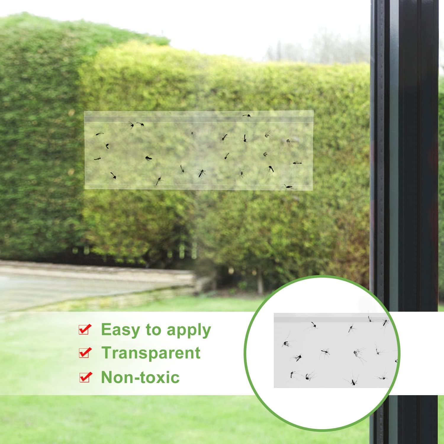 50 Window Fly Traps Indoor Fruit Fly Traps for Indoors | Window Fly Traps Sticky Paper Indoor Fruit Fly Gnat Trap Fly