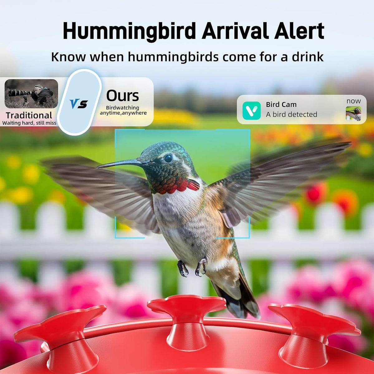 Hummingbird Feeder with Camera Outdoor, 5MP HD Smart Hummingbird Feeder Camera Solar Powered, AI Bird Identification