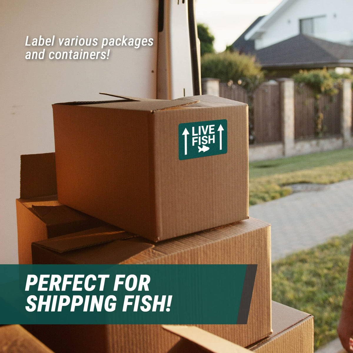 6 x 4 inch - Live Fish: This Side Up, Live Fish Stickers with UP Arrow (300 Labels, Green & White) for Shipping &