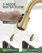 Kitchen Faucet with Pull Down Sprayer, Brushed Gold High Arc