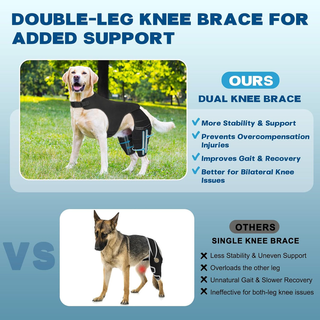 Dog Knee Brace for Torn ACL Hind Leg, Dog Leg Braces for Back Leg Support with 4 Metal Stabilizers Helps with Torn