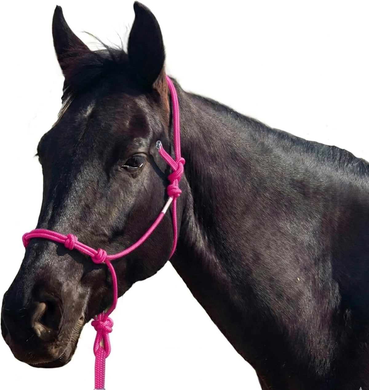 4 Knot Rope Halter for Horses – Strong 1/4″ Stiff Rope Bitless Training Halter,Lightweight & Adjustable