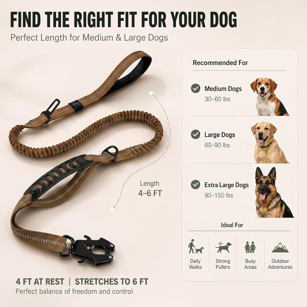 Bungee Dog Leash for Large Dogs: Protect Arm from Sudden Lunges on Walking