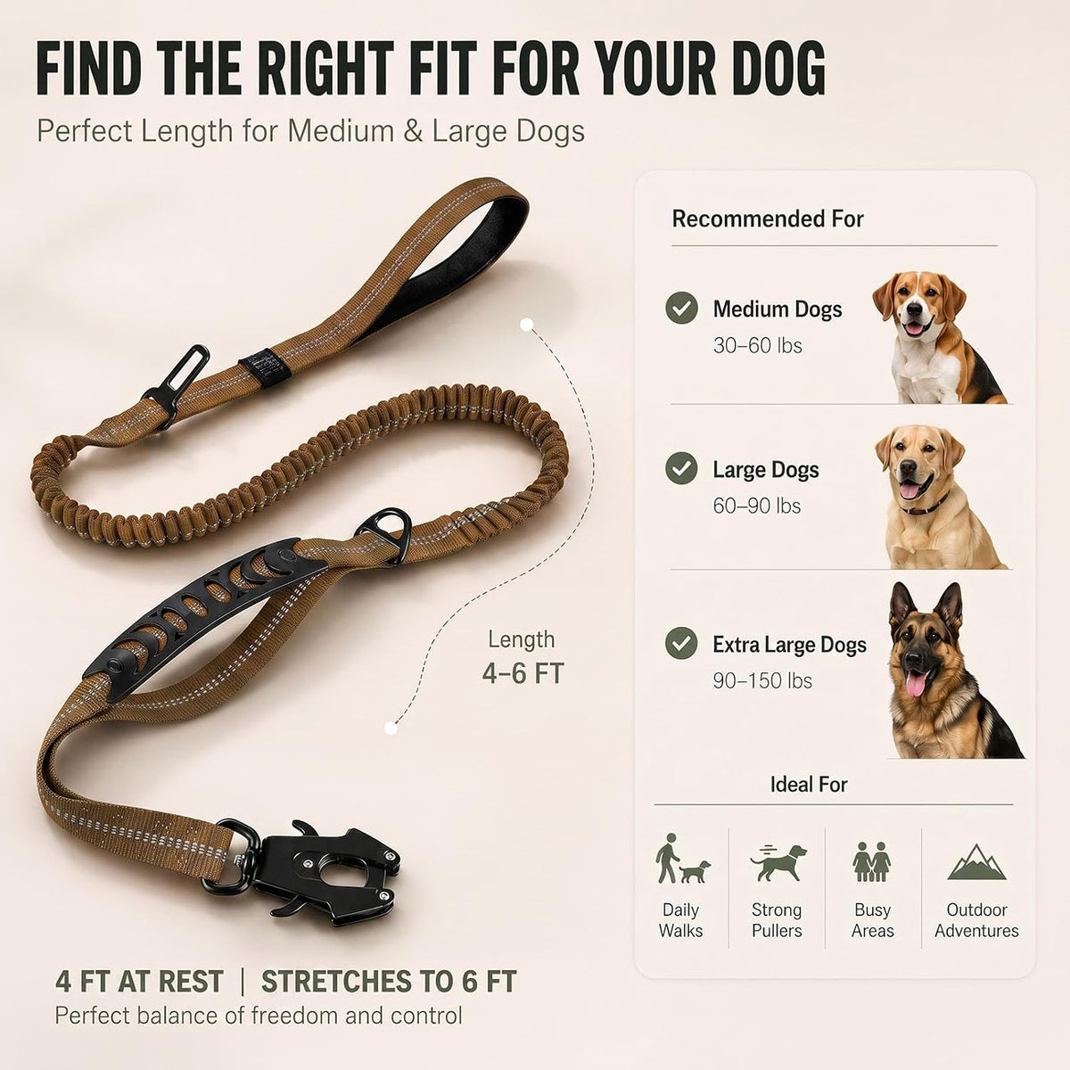 Bungee Dog Leash for Large Dogs: Protect Arm from Sudden Lunges on Walking