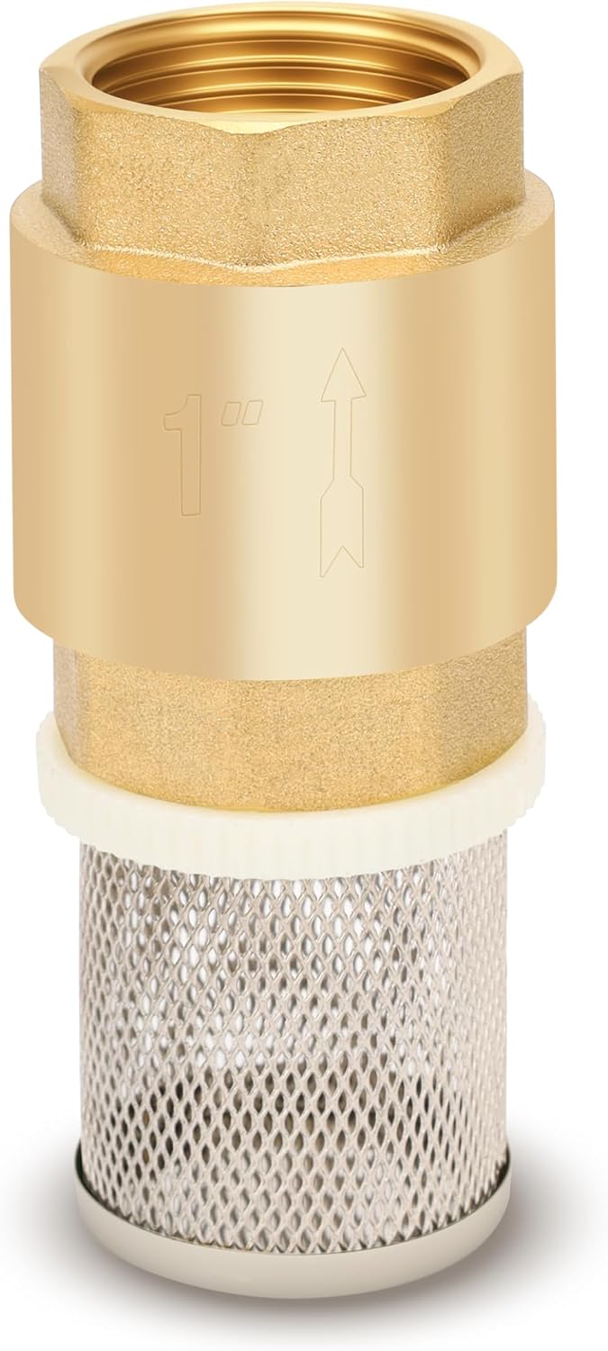 1" NPT Foot Valve with Filter, Brass, Heavy Duty, Female Thread, DN25
