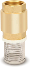 1" NPT Foot Valve with Filter, Brass, Heavy Duty, Female Thread, DN25