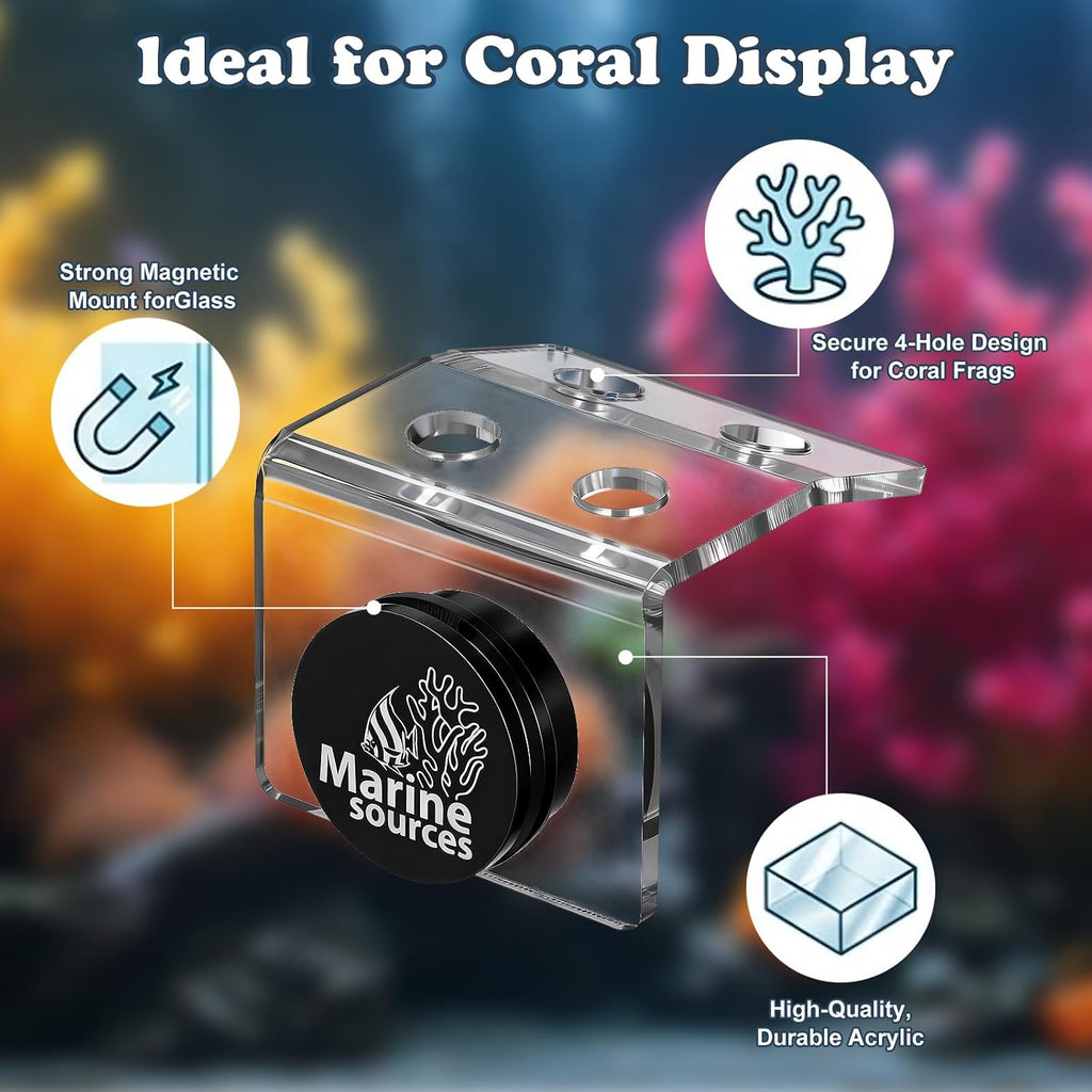 Magnetic Coral Frag Holder, 4 Holes Aquarium Coral Frag Rack