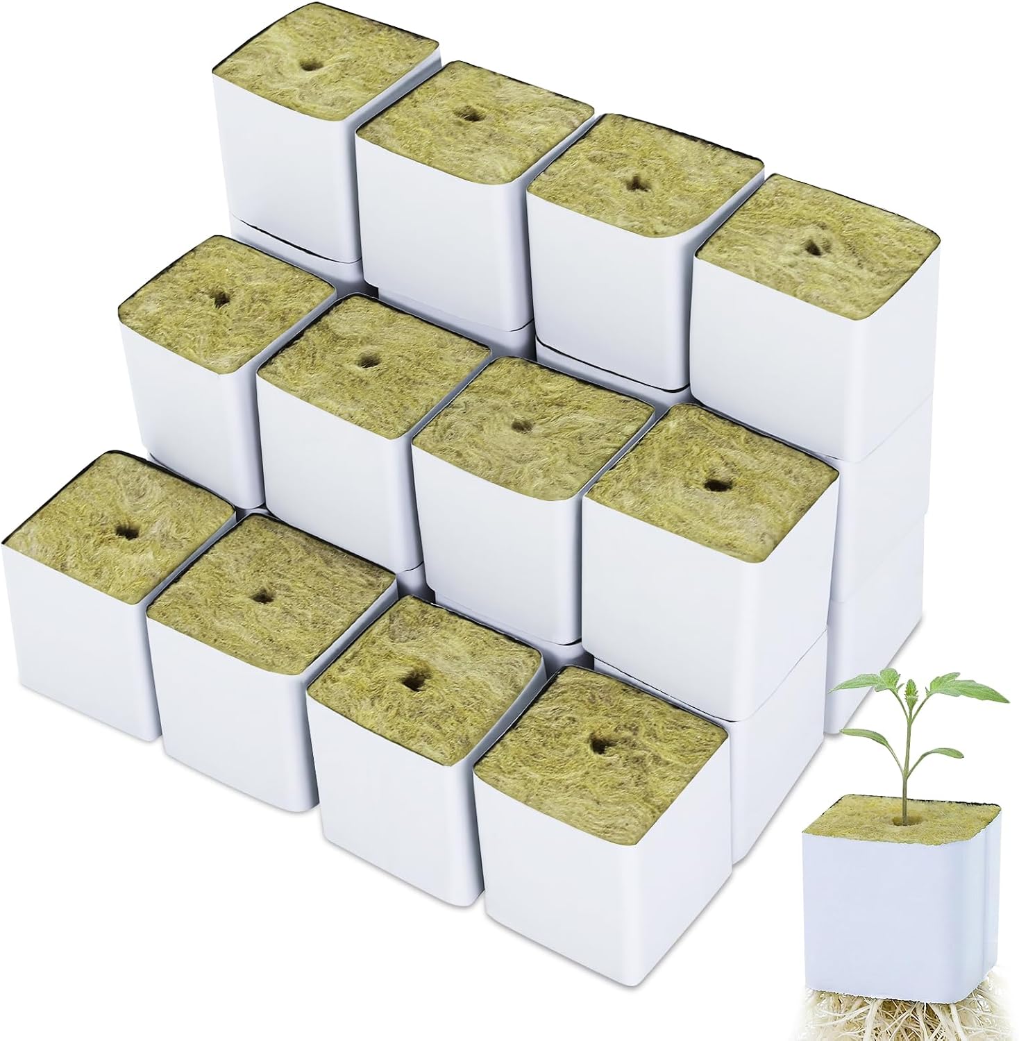 Rockwool Cubes 1.5 Inch – 24 Pack Premium Rock Wool Planting Cubes for Hydroponics, Seed Starting, Cloning &