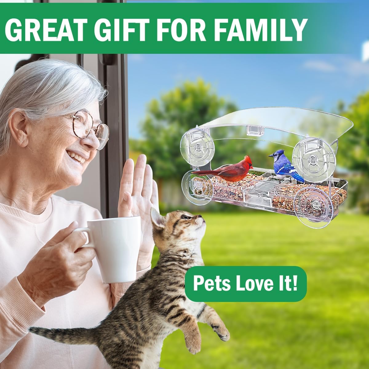 Window Bird Feeder with 4 Strong Suction Cups