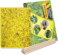 20-Pack Fruit Fly Trap, Yellow Sticky Gnat Traps, 6x8 in | For Indoor/Outdoor, Flying Plant Insect Killer, Fungus