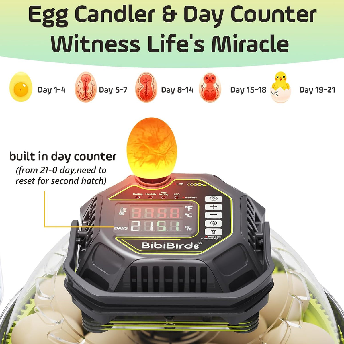 Egg Incubators for Hatching Eggs, Temperature Humidity Control