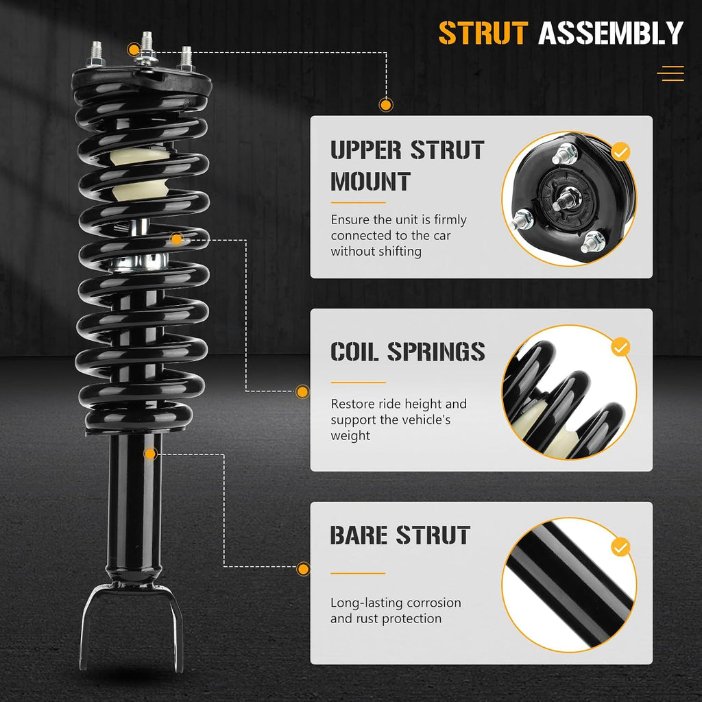 Front Complete Struts Assembly Shock Absorber Compatible with Dodge Dakota RWD 2005 2006 2007 2008 2009, for Mitsubishi Raider RWD 2006-2009, Replace 271100 (Set of 2)
