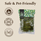 Mood Moss for Terrarium Habitats, Small 1-Pack