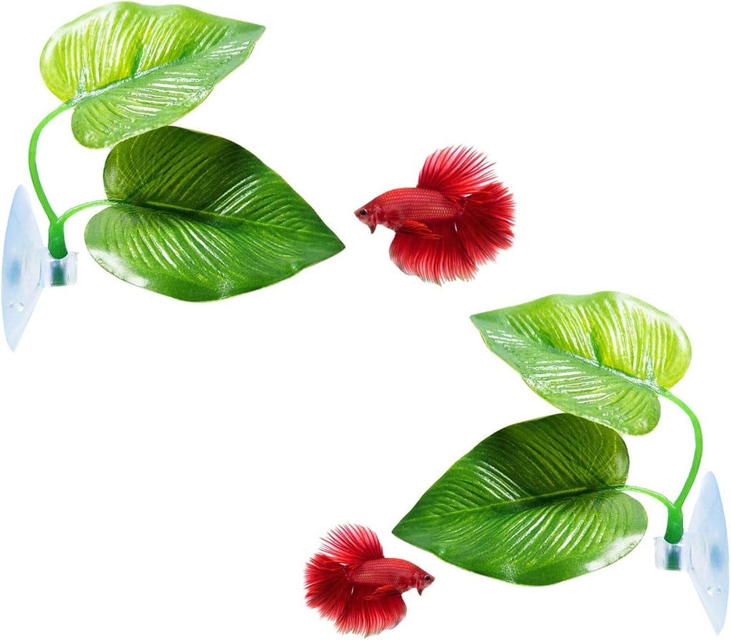 2 Pack Betta Fish Leaf Pad Improves Betta's Health by Simulating the Natural Habitat - Natural, Organic, Comfortable