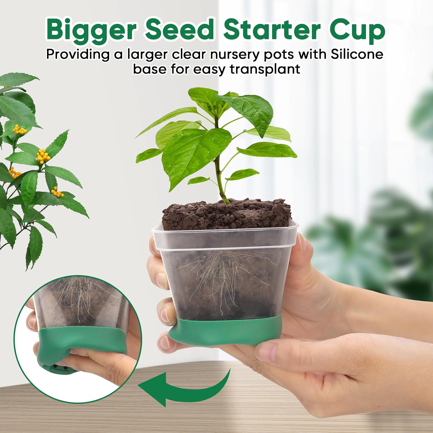 Seed Starter Tray with Grow Light, 24 Pack Large Clear Nursery Pots | 2.9" Deep Seedling Trays, Reusable Plant