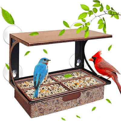 Window Bird Feeder Metal Bird Feeder for Outdoors Birdwatching